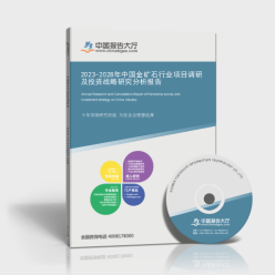 2023-2028年中國金礦石行業項目調研及投資戰略研究分析報告封面